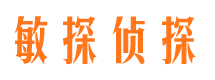 沙市市调查公司